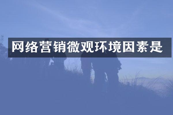 网络营销微观环境因素是