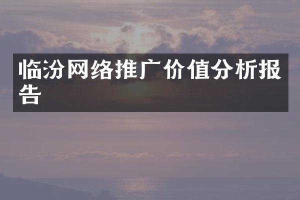临汾网络推广价值分析报告