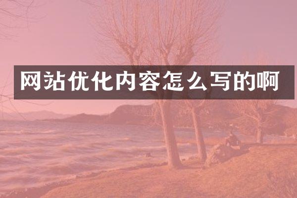 网站优化内容怎么写的啊