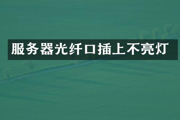 服务器光纤口插上不亮灯