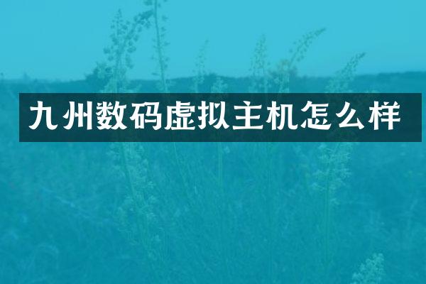 九州数码虚拟主机怎么样