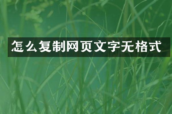 怎么复制网页文字无格式