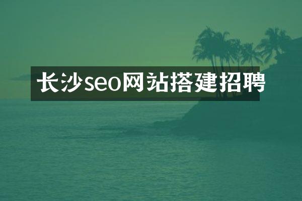 长沙seo网站搭建招聘