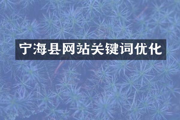 宁海县网站关键词优化