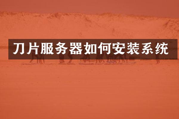 刀片服务器如何安装系统