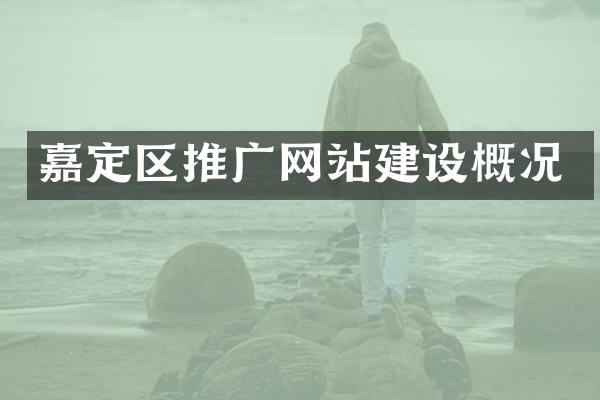 嘉定区推广网站建设概况