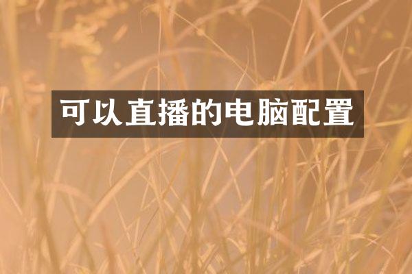 可以直播的电脑配置