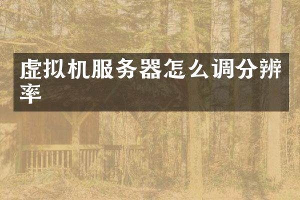 虚拟机服务器怎么调分辨率