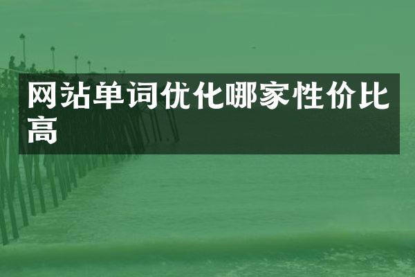 网站单词优化哪家性价比高