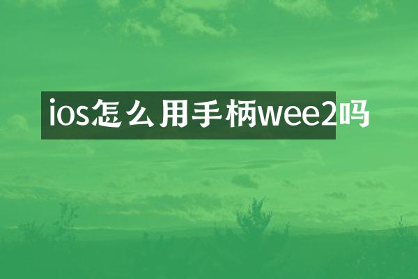 ios怎么用手柄wee2吗