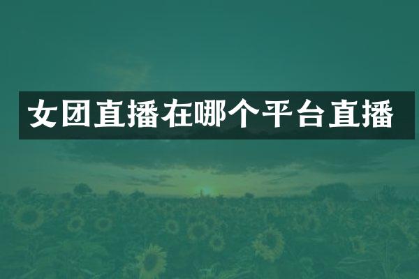 女团直播在哪个平台直播