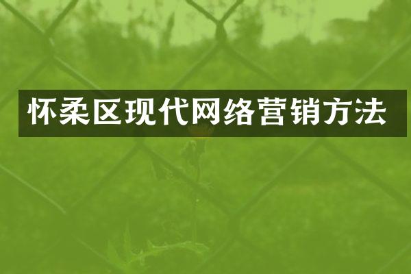 怀柔区现代网络营销方法