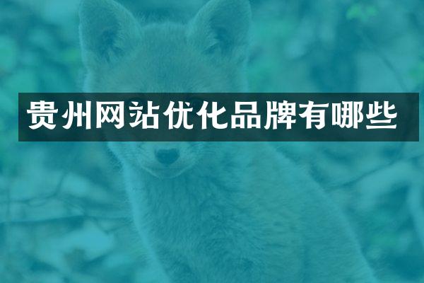 贵州网站优化品牌有哪些