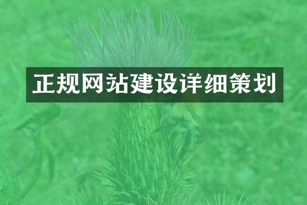 正规网站建设详细策划