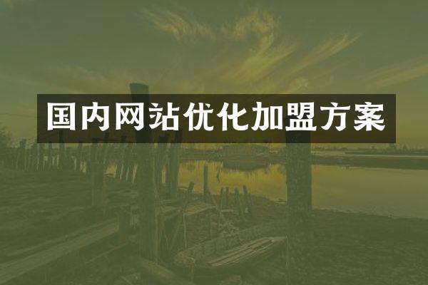 国内网站优化加盟方案