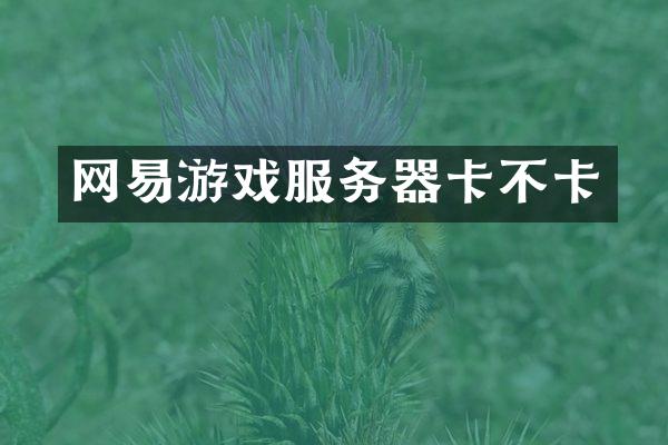 网易游戏服务器卡不卡