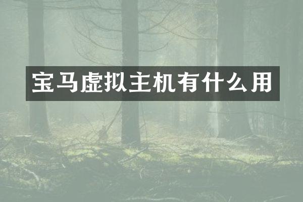 宝马虚拟主机有什么用