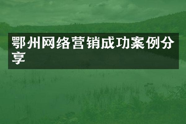 鄂州网络营销成功案例分享