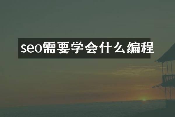 seo需要学会什么编程