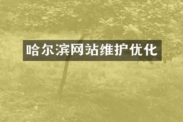 哈尔滨网站维护优化