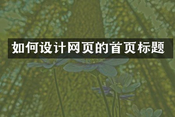 如何设计网页的首页标题