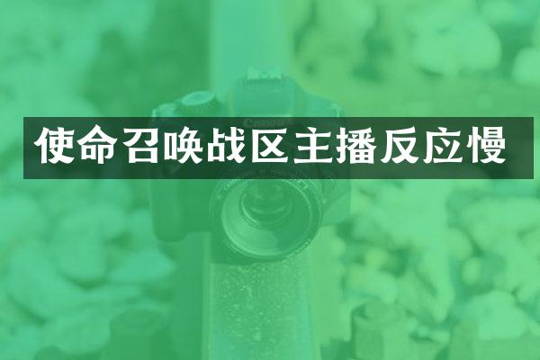 使命召唤战区主播反应慢