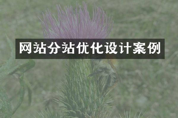 网站分站优化设计案例