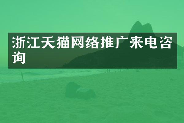 浙江天猫网络推广来电咨询