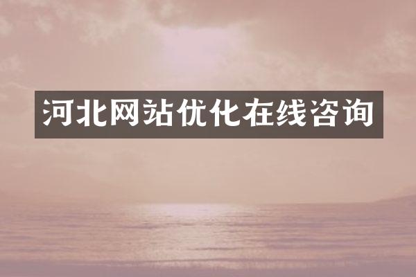 河北网站优化在线咨询