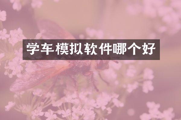 学车模拟软件哪个好