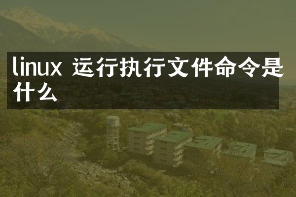 linux 运行执行文件命令是什么
