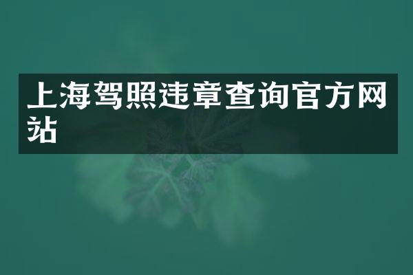 上海驾照违章查询官方网站