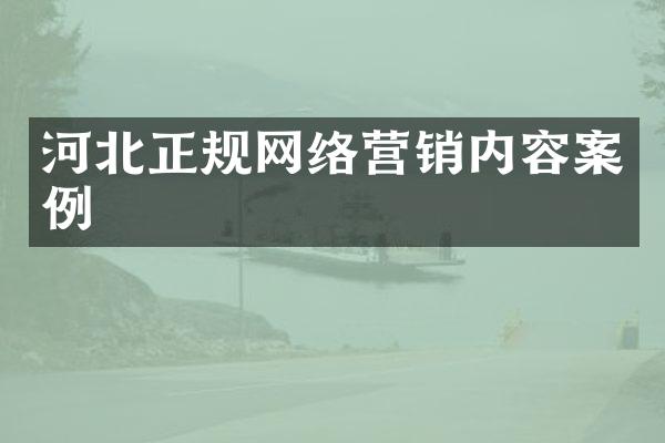 河北正规网络营销内容案例