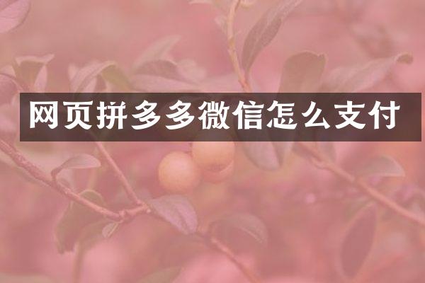 网页拼多多微信怎么支付