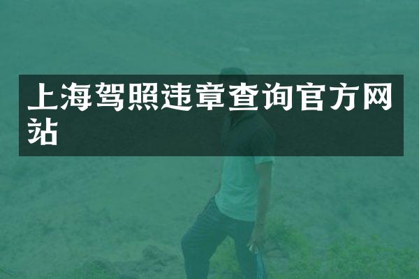 上海驾照违章查询官方网站