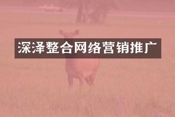 深泽整合网络营销推广