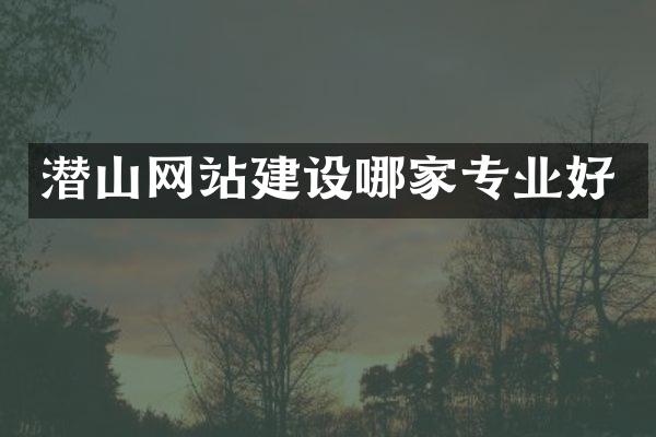 潜山网站建设哪家专业好