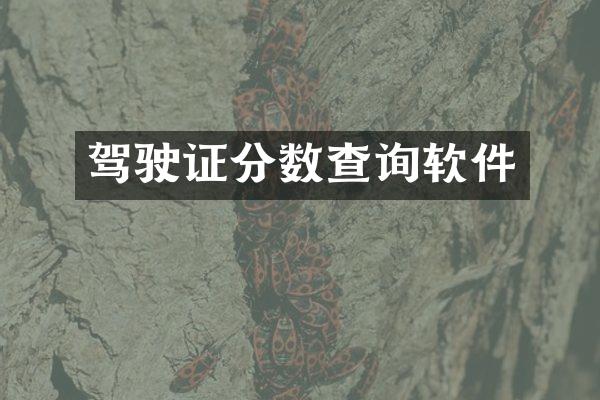 驾驶证分数查询软件