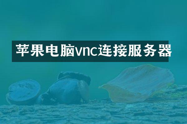 苹果电脑vnc连接服务器