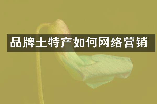 品牌土特产如何网络营销