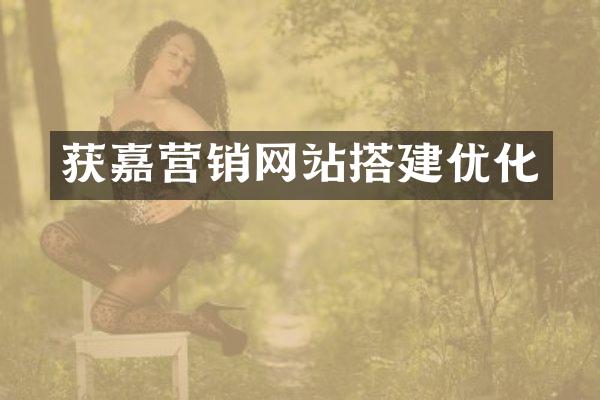 获嘉营销网站搭建优化