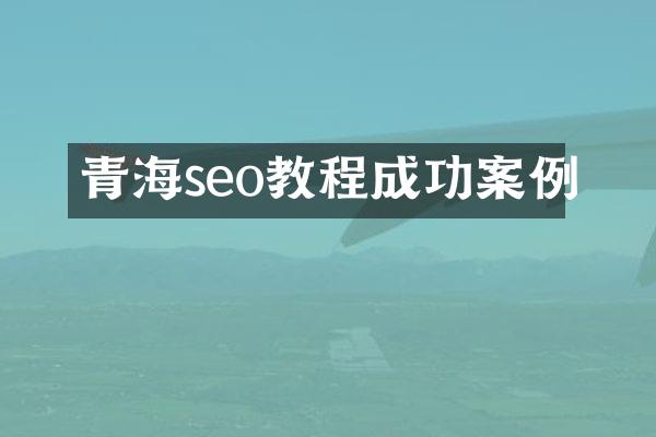 青海seo教程成功案例