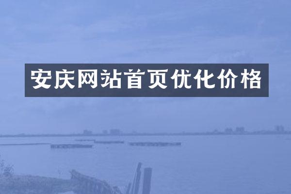 安庆网站首页优化价格