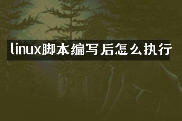 linux脚本编写后怎么执行