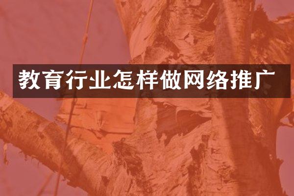 教育行业怎样做网络推广