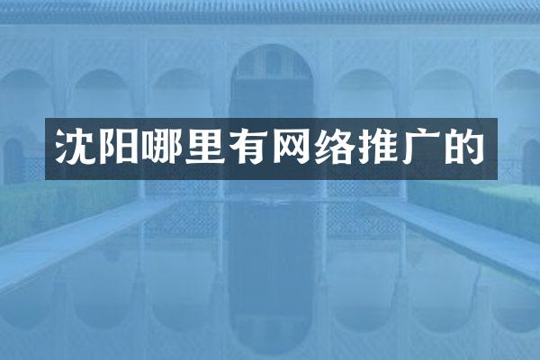 沈阳哪里有网络推广的
