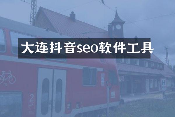 大连抖音seo软件工具