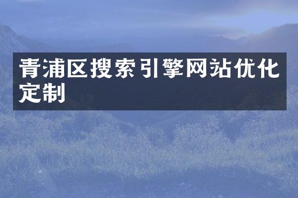 青浦区搜索引擎网站优化定制