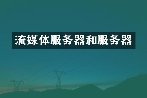 流媒体服务器和服务器