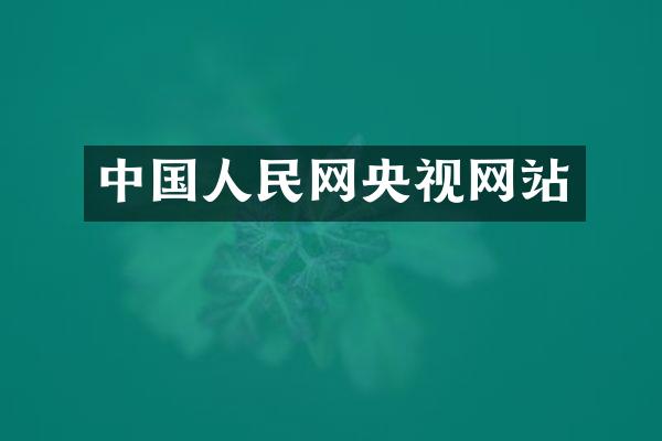 中国人民网央视网站